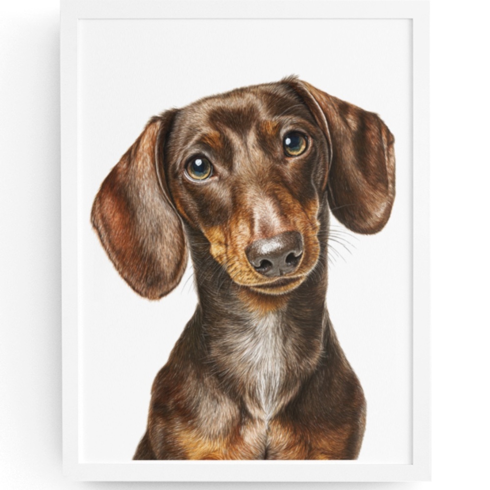 Watercolor Dachshund Dog Portrait Art Print – Unframed Fine Art Poster